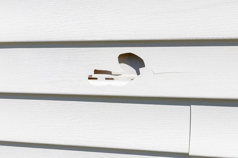 Vinyl siding repair expertise