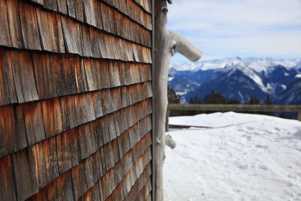Cedar Siding Repair in Carrollton