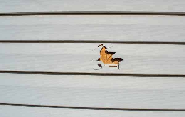 Siding Hole Patching in Carrollton